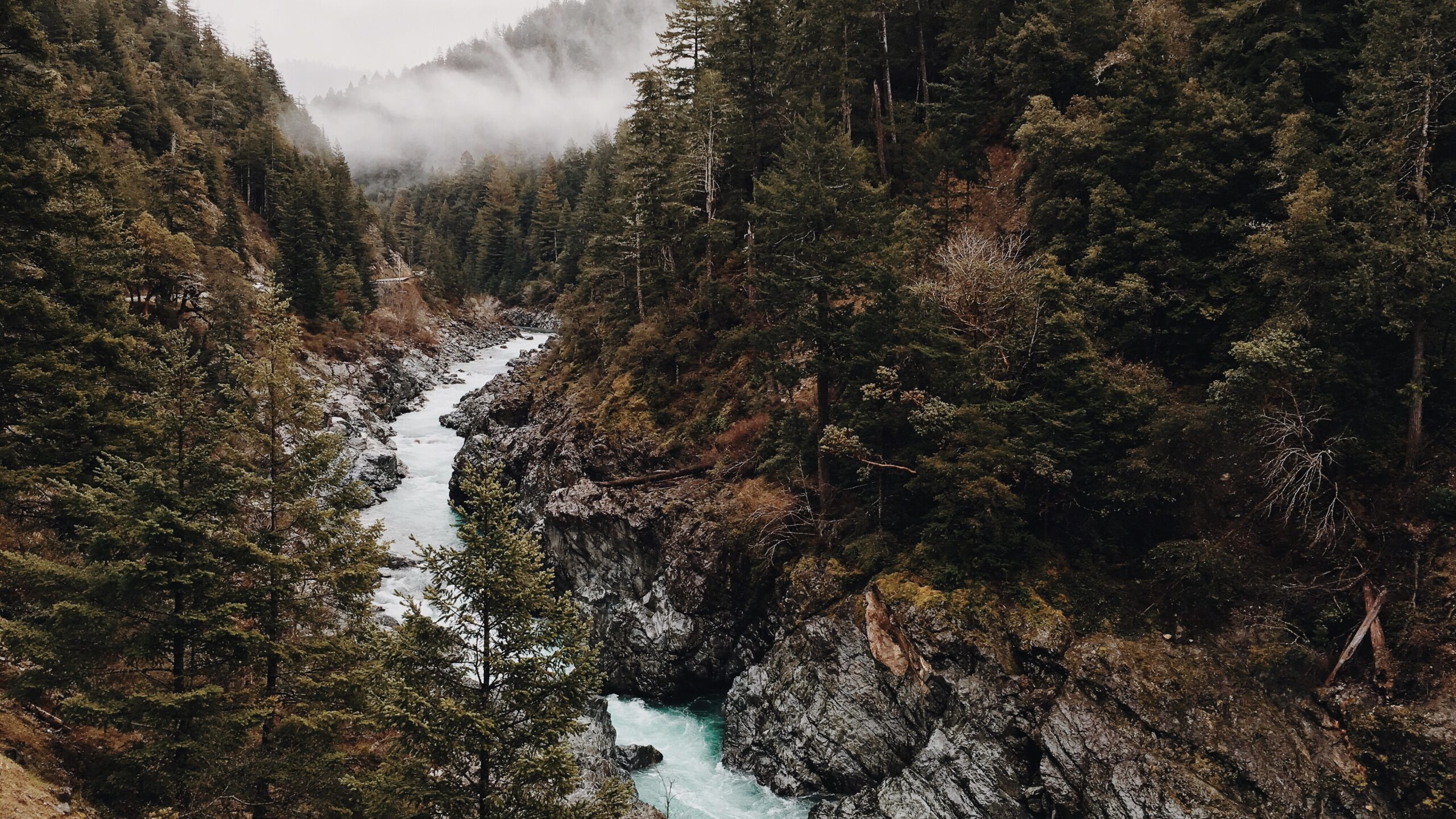 A river cutting through a rocky mountain. Photo by Steve Carter on Unsplash