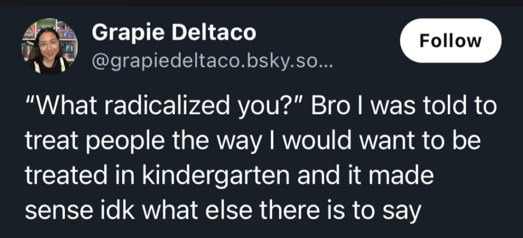 "What radicalized you?" Bro I was told to treat people the way I would want to be treated in kindergarten and it made sense idk what else there is to say.